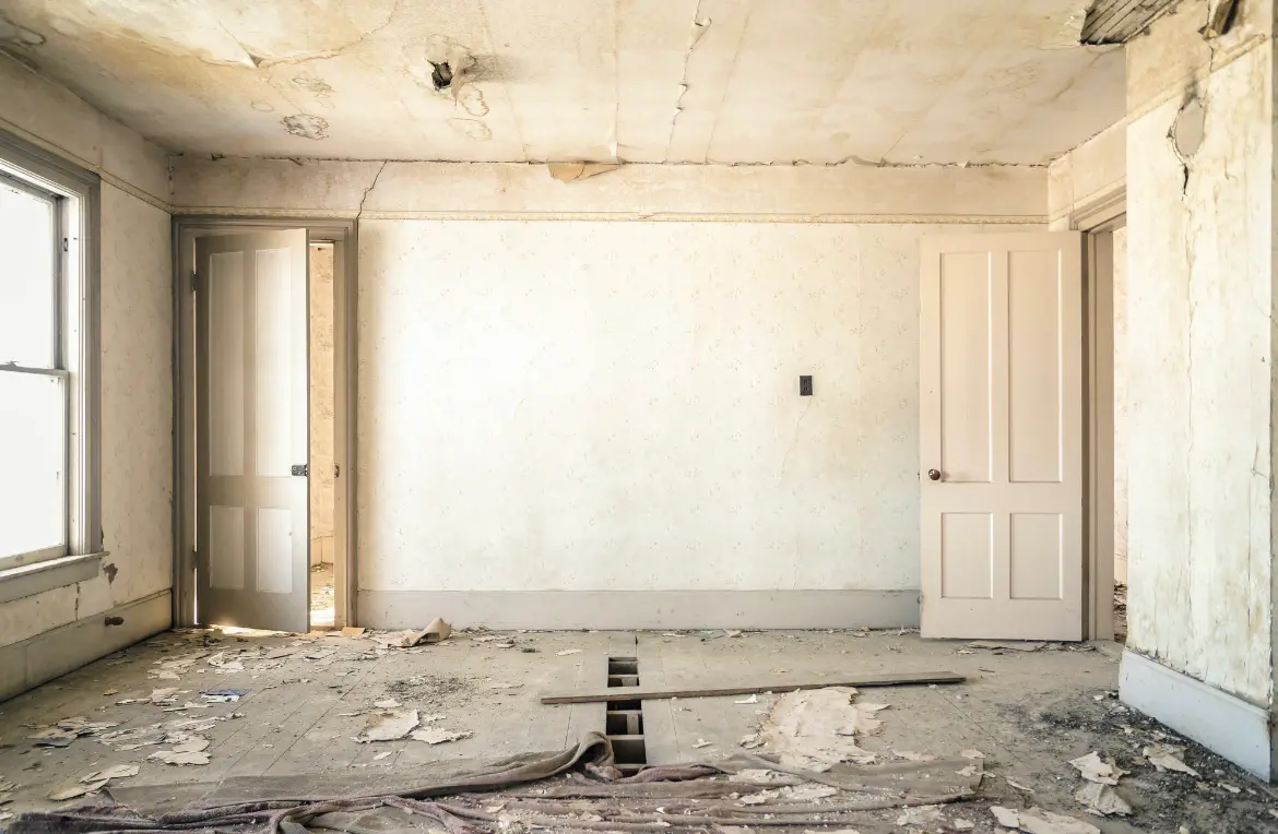 Waste disposal crew managing a cleanout project in Southaven